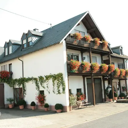 بيت ضيافة Weingut***pension Guenther Scholtes 3*